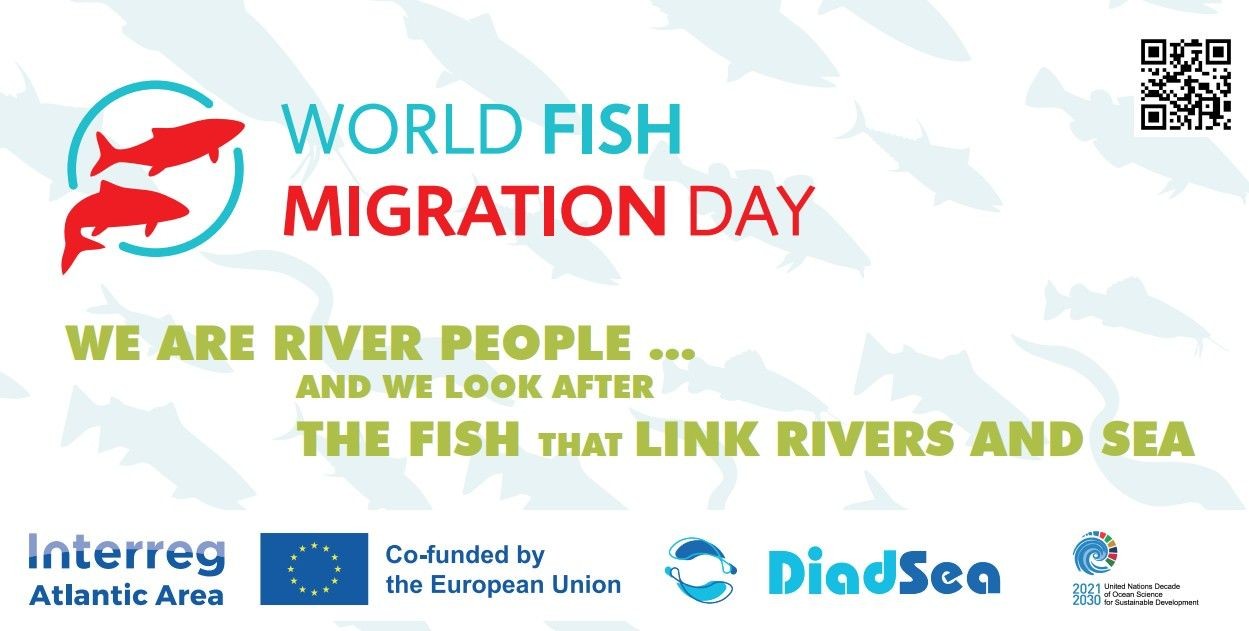 World Fish Migration Day DiadSea