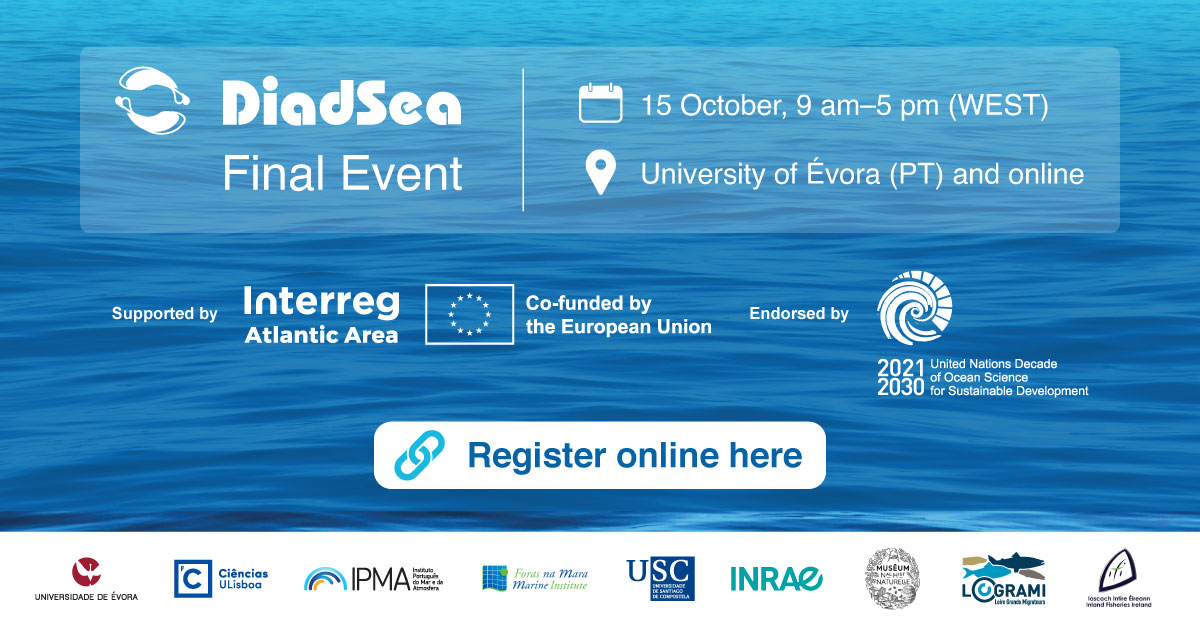 DiadSea Final Event
